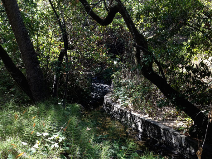 Arroyo Ojo De Agua Stulsaft Park