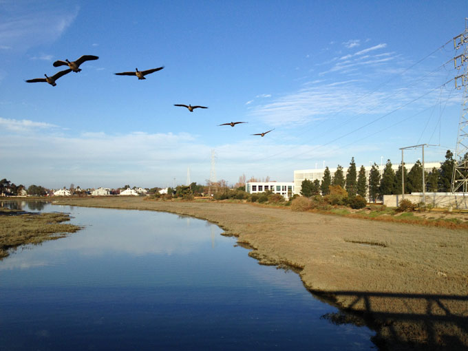 Belmont Slough