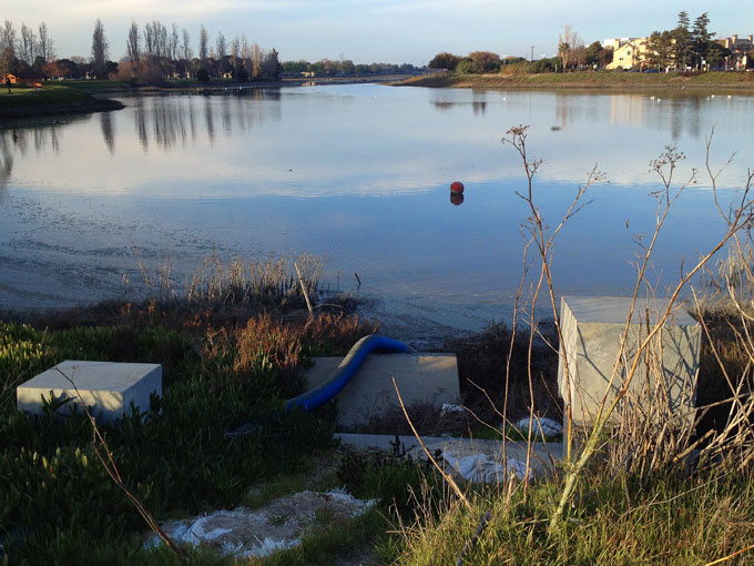 Belmont Slough