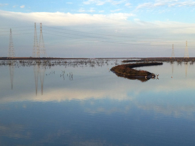 Belmont Slough