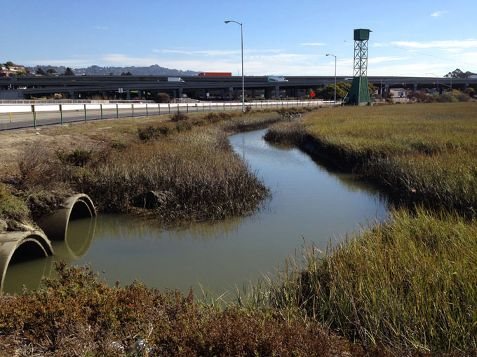 Codornices Creek