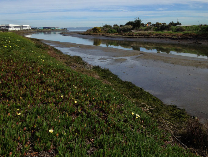 Colma Creek