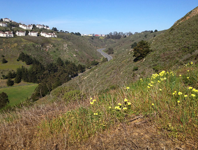 Colma Creek