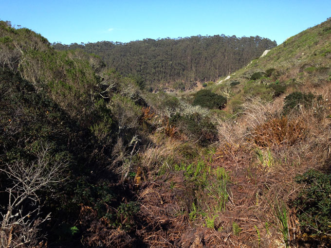 Colma Creek