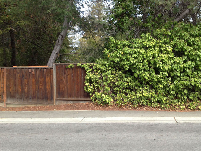 Cordilleras Creek Fence