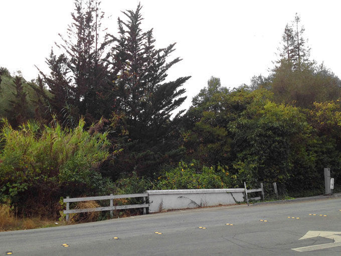 Cordilleras Creek Fence