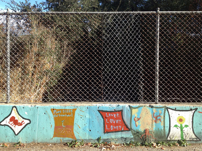 Cordilleras Creek at Redwood Highschool