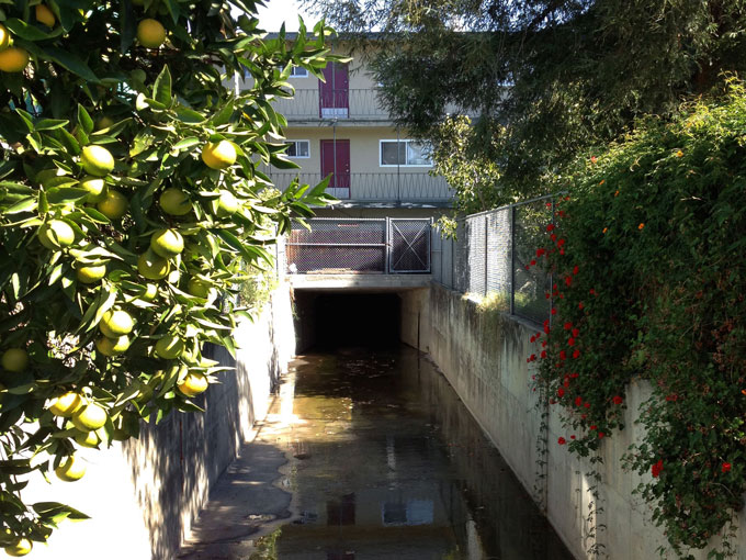 Redwood Creek Apartment Building