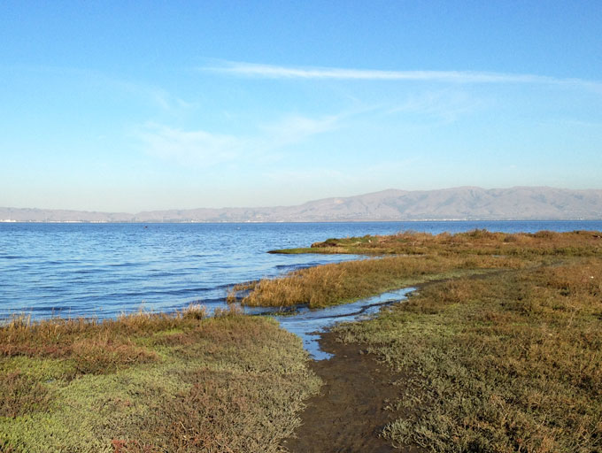 San Francisquito Creek