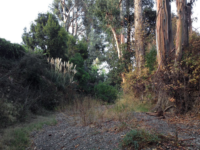 San Francisquito Creek