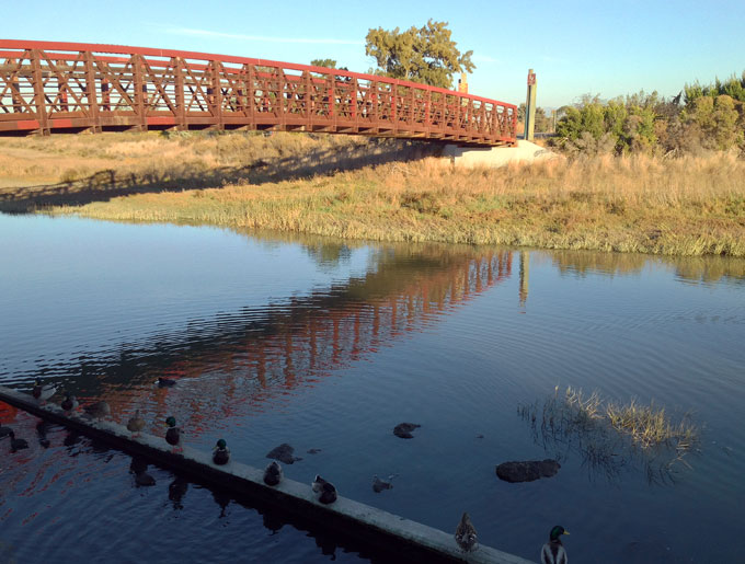 San Francisquito Creek