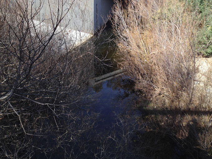 San Francisquito Creek