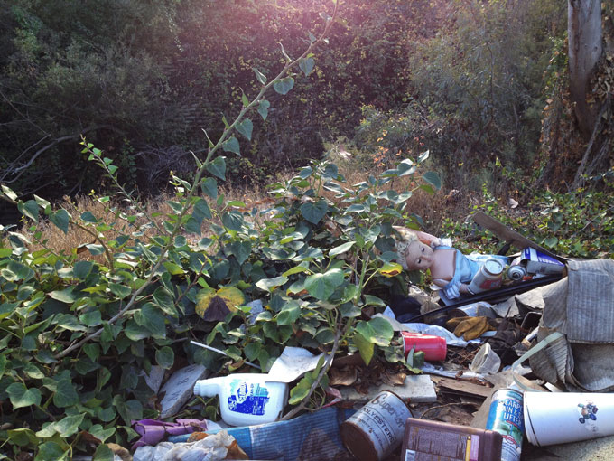 San Francisquito Creek