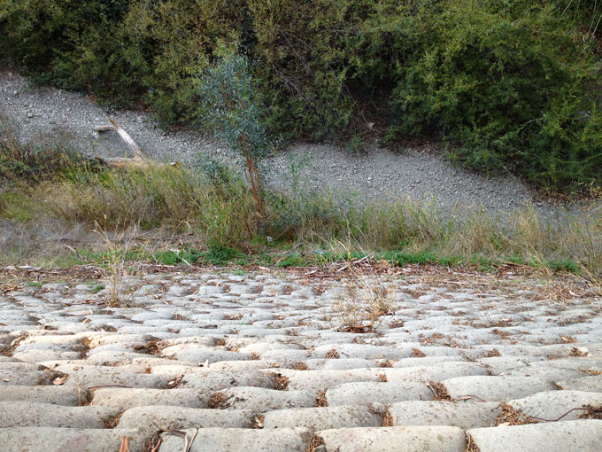 San Francisquito Creek